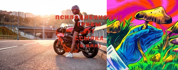 хмурый Верхний Тагил
